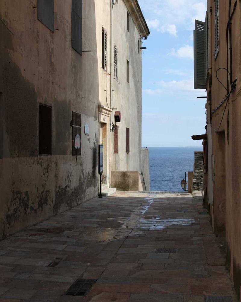 Chignon de mariée avec fleurs naturelles