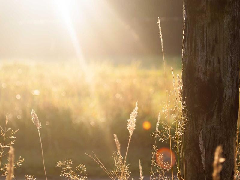 Défrisage professionnel en salon