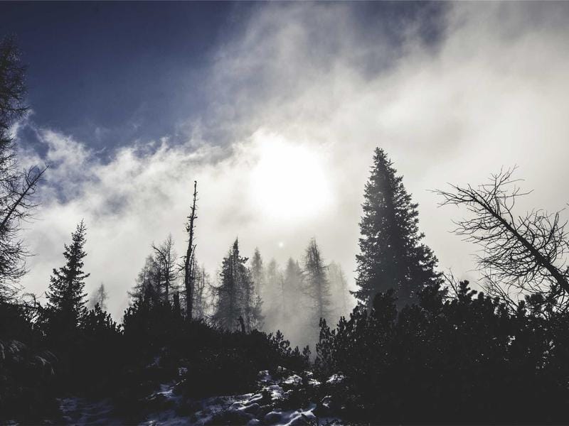 Pose d'extensions naturelles en salon