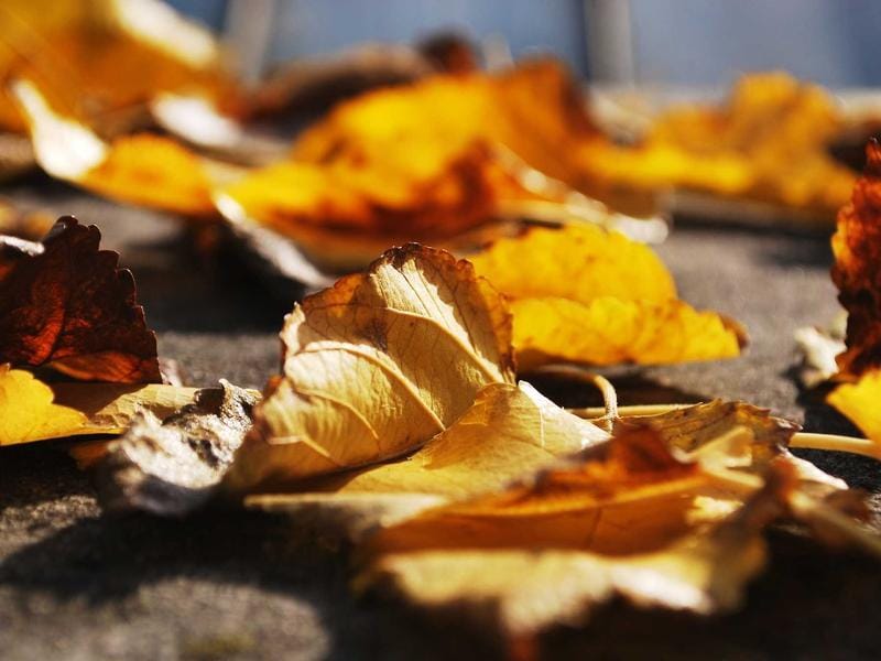 Soin kératine profond pour cheveux afro