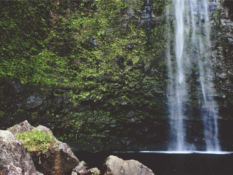 Lissage brésilien sur cheveux crépu